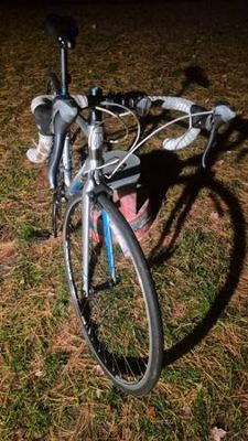 Trek Lexa Road Bicycle 2