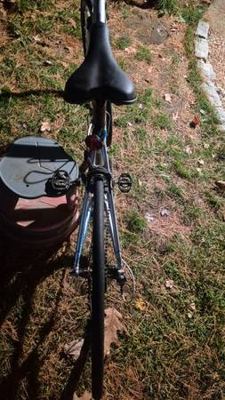 Trek Lexa Road Bicycle 3
