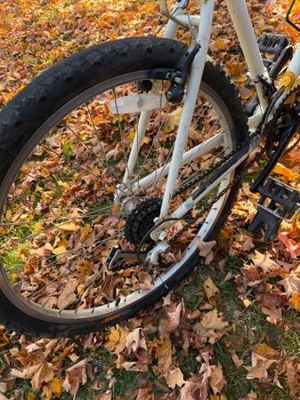 Specialized Rockhopper vintage hybrid mountain bike 2