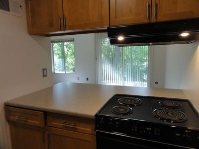 2 BR for rent — 1541 Jones Dr #1541, Ann Arbor 6