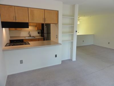 2 BR for rent — 1541 Jones Dr #1541, Ann Arbor 4
