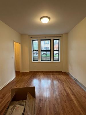 1 BR for rent — 3038 S Canal St #1BF, Chicago 3
