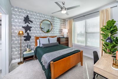 Studio for rent — 211 Ralph Ablanedo Dr, Austin 4