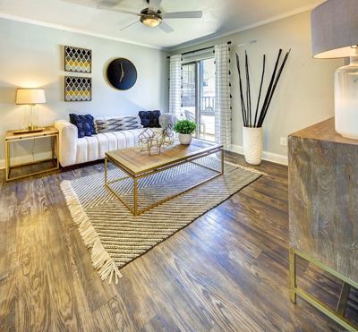 Studio for rent — 3816 S Lamar Blvd, Austin 1