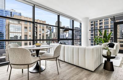 1 BR for rent — 741 N Wells St, Chicago 7