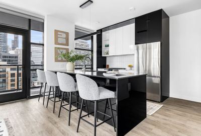 1 BR for rent — 741 N Wells St, Chicago 4