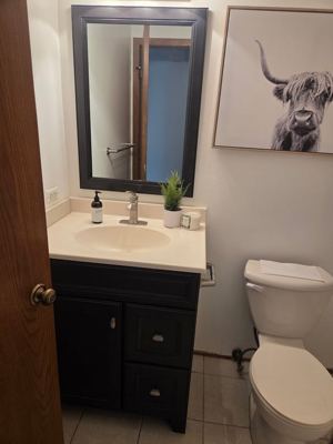 3 BR for rent — 8647 W Catherine Ave #2, Chicago 4