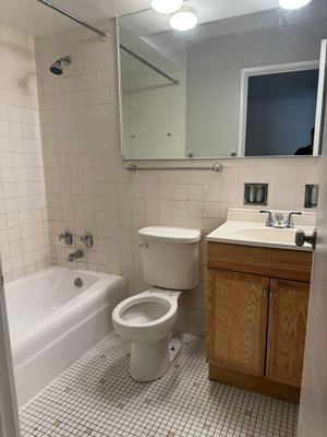 Studio for rent — 123 N Central Ave APT 404, Chicago 7