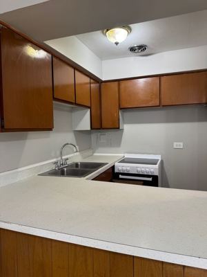 Studio for rent — 123 N Central Ave APT 404, Chicago 8