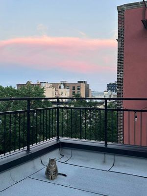 2 BR for rent — 2136 Bedford Ave #4A, Brooklyn 7