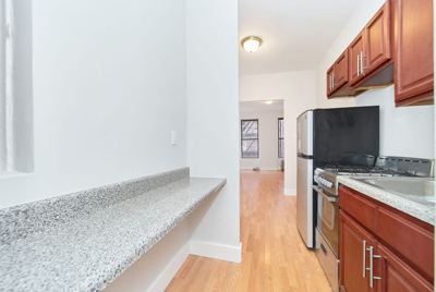 Studio for rent — 531 E 81st St APT 2D, New York 4
