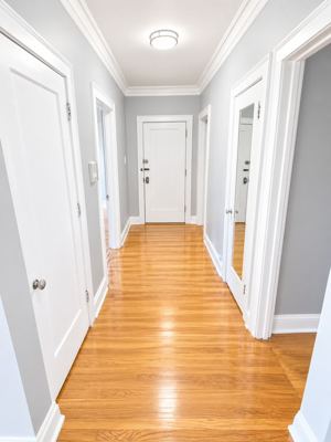 1 BR for rent — 6204 N Rockwell St #2, Chicago 4