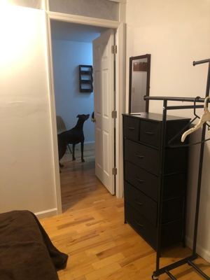 4 BR for rent — 1420 Newkirk Ave APT 3L, Brooklyn 4