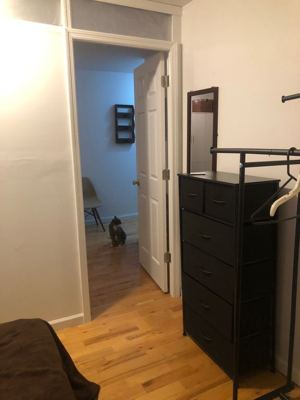 4 BR for rent — 1420 Newkirk Ave APT 3L, Brooklyn 3