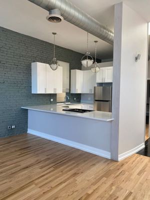 2 BR for rent — 1734 W Cortland St #F, Chicago 2