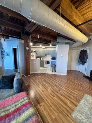 1 BR for rent — 225 W Huron St APT 316, Chicago 6