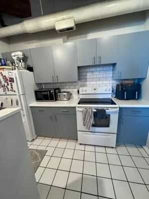 1 BR for rent — 225 W Huron St APT 316, Chicago 8