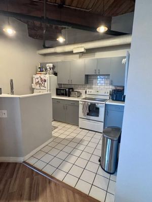 1 BR for rent — 225 W Huron St APT 316, Chicago 7
