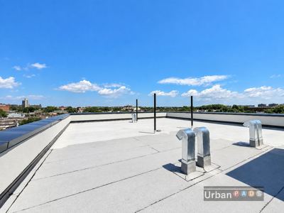 2 BR for rent — 381 De Witt Ave, Brooklyn 8