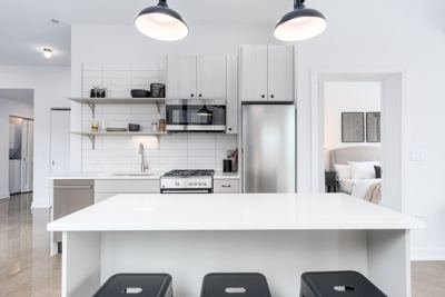 Studio for rent — 1461 S Blue Island Ave, Chicago 5