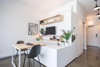 Studio for rent — 1461 S Blue Island Ave, Chicago 4