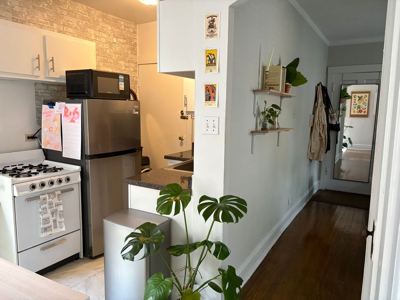 Studio for rent — 2901-11 N Seminary Ave #208, Chicago 8