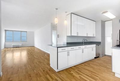 Studio for rent — 355 S End Ave, New York 1