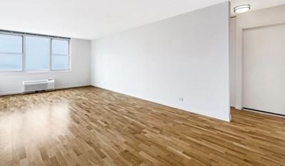 Studio for rent — 355 S End Ave, New York 3