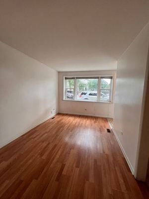 1 BR for rent — 3041 S Lowe Ave APT 1F, Chicago 4