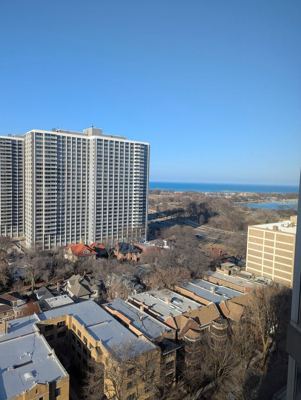 1 BR for rent — 720 W Gordon Ter APT 20F, Chicago 3