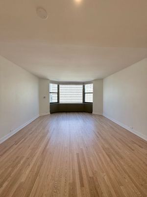 Studio for rent — 535 N Michigan Ave, Chicago 3