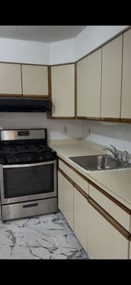 2 BR for rent — 508 Shepherd Ave #1, Brooklyn 2