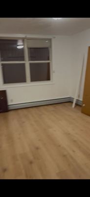 2 BR for rent — 508 Shepherd Ave #1, Brooklyn 1