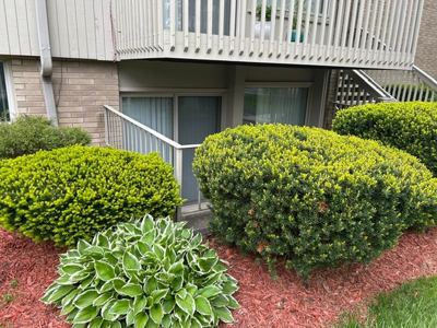 1 BR for rent — 2319 Packard St, Ann Arbor 2