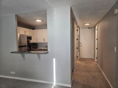 Studio for rent — 2728 N Hampden Ct APT 604, Chicago 3