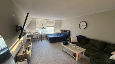 Studio for rent — 2728 N Hampden Ct APT 604, Chicago 2