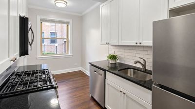 1 BR for rent — 905 W Altgeld St #1A, Chicago 2