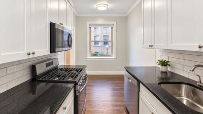 1 BR for rent — 905 W Altgeld St #1A, Chicago 3
