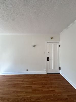 1 BR for rent — 844 W Ainslie St, Chicago 3