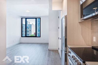 Studio for rent — 210 Clarkson Ave, Brooklyn 2