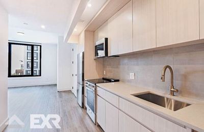 Studio for rent — 210 Clarkson Ave, Brooklyn 1