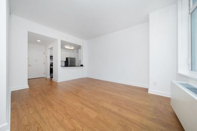 1 BR for rent — 140 Riverside Blvd, New York 2
