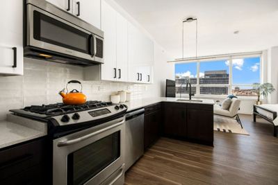Studio for rent — 765 W Adams St, Chicago 1