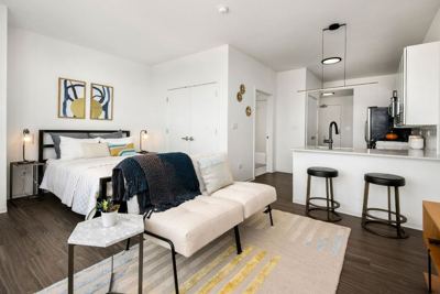 Studio for rent — 765 W Adams St, Chicago 3