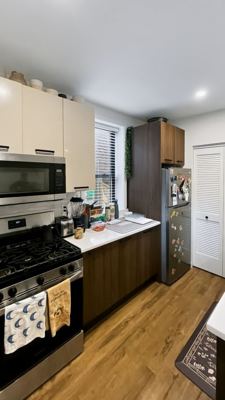 2 BR for rent — 4412 N Greenview Ave Unit 1N, Chicago 3