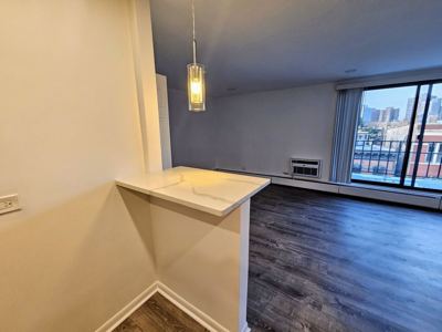 Studio for rent — 2250 N Lincoln Ave, Chicago 3