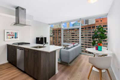 Studio for rent — 220 E Illinois St, Chicago 3