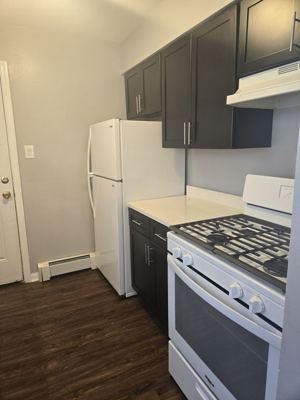 1 BR for rent — 960 E 85th St APT 2N, Chicago 2